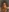 NikaCyberslut's photo