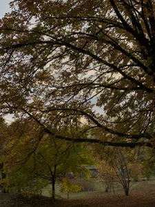 liana_kisses My autumn mood 🍃 Foto 6