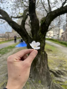 takutaku002 Public Foto 5