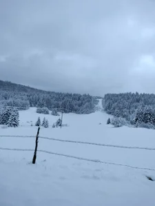 Sandcoq Moi tout simplement Pic 8