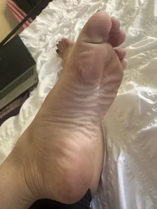 Huskie_Mia_UKのFeetの枚の写真
