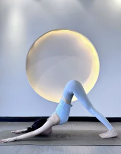 MM-Sally我的瑜伽上课体式图片 2