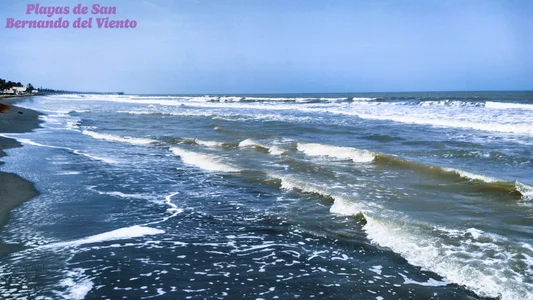 Ana_and_Leo Vacations on the beach!😎🌞🏝🩱 Immagine  4