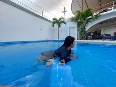 mia_traveluxe Public صورة واحدة|mia_traveluxe Public صورتان|mia_traveluxe Public  4 صور|mia_traveluxe Public  4 صورة