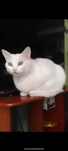 marilyn_love6969 Un poco de mi Immagine  3