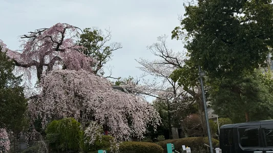 fatbear0109 Photograph 사진