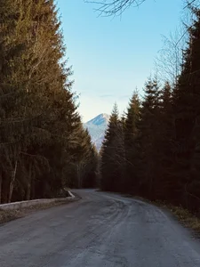 KatyaFantasy My favorite vacation spot is definitely in the mountains. 🏔️✨ slika 2