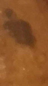 JamesQuaresmaのplayboyの 5枚の写真