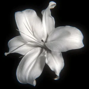 AlbaSwann Muahhh Pic