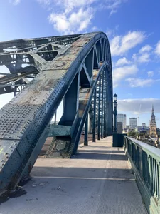 terryhawk Public Foto 4