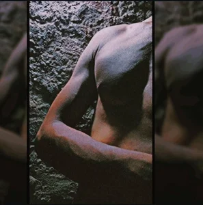 Indian-self-sucker CHEST AND BICEPS 😉 Foto