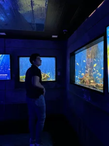 Public de MrAdonis_ Foto