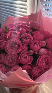 gracedorce wish list Pic 3