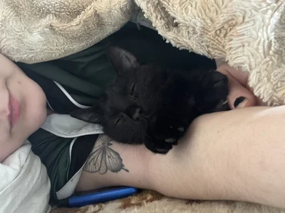 NanaDaizy My Cats😻 Pic 5