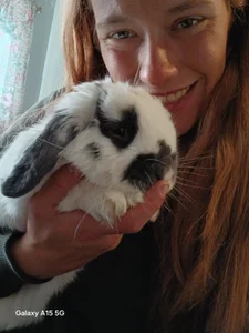 Wonderland97Public Bild 7