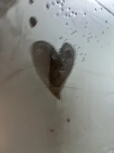 Tanya_WorldBondage Hi o Εικόνα