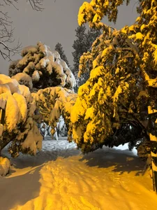 Eduu2222 Public Kuva