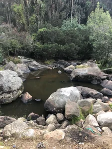 Kind_Scarlett trip Pic 5