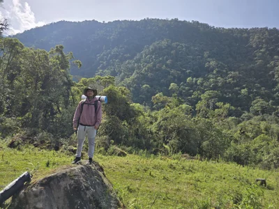 TigerStripes1_Nature Bild 5