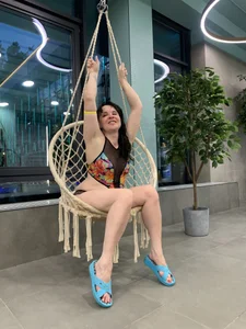 Aphelandra baden Pic 4