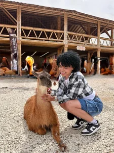 yess__daddy1 kullanıcısının MEDELLIN-COLOMBIA albümü -  8 fotoğraf