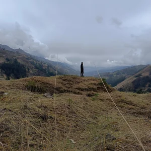 LoytderのNatureの枚の写真