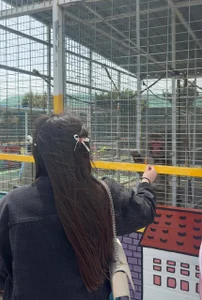 EvaCake i love animals Pic