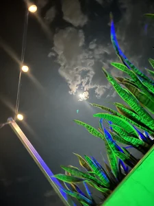 yanza2002 🤤🤤🤤 Pic 2