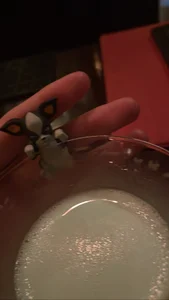 ASUKA-TVの🧁😋の 8枚の写真