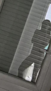 Cataleyaloca Public Pic 9