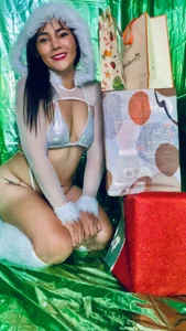 faberdubois1 Merry Chrismas 🎄🎅🪅 Billede 7