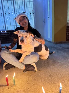 PamelaFtMia MERRY CHITSMAS Poză 8