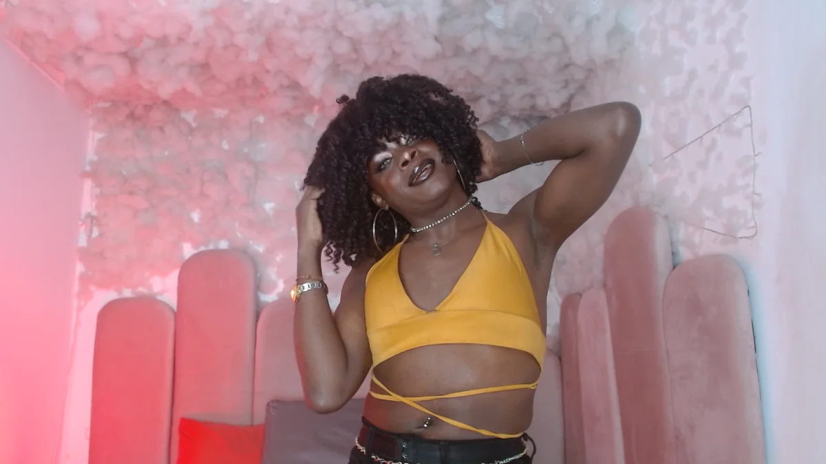 puca_ebony избранные изображения 1875