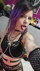 ViGothFox Public รูป  6