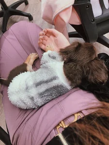 Nao_o-のPublicの 3枚の写真