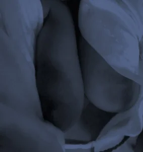 Sengubabe2 Sexy queen Pic