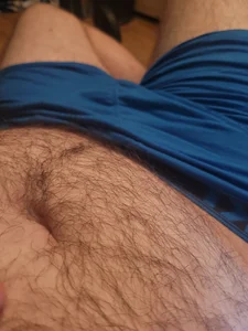 BeautifulPenis2002 Public Billede 4