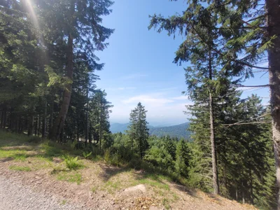 Lisaonthemoon Schwarzwald <3 Pic 6