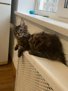 Taylor_Davids My live✨ slika