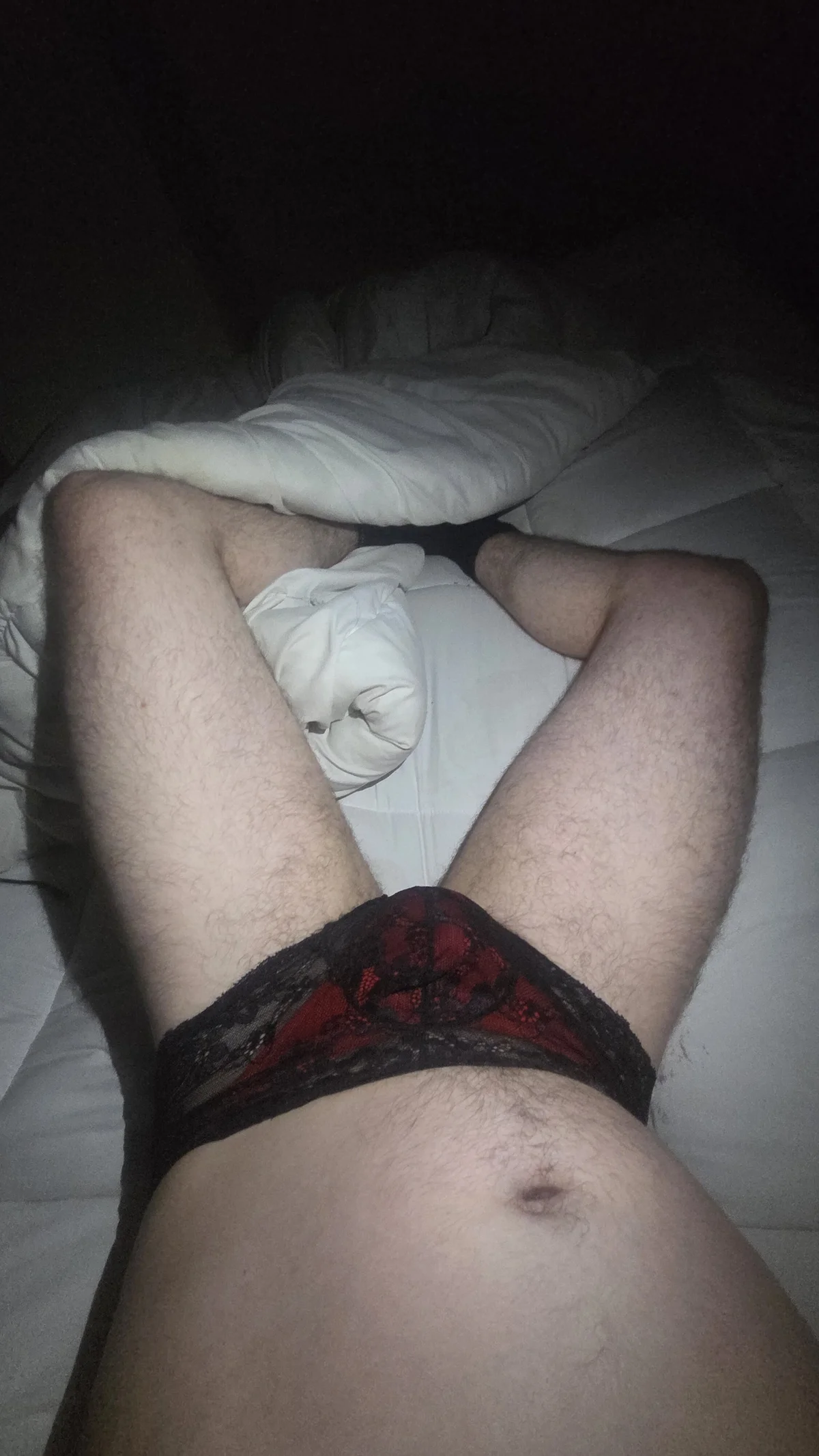 SingingTrunks 热门图片 4938