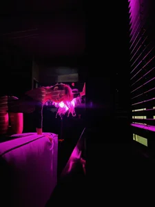 _kellystar_ Public Hình 9