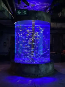 kneekeytarPublic图片 3