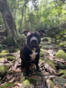 Magnuz_ColのTarzan Magnuzの 5枚の写真