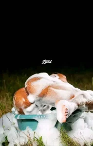 Sassy2219 Public Foto