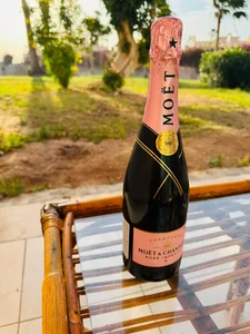 Shadow_Edict Public Immagine  4