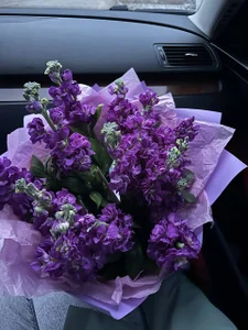 my life de ZlatoslavaLo Foto 2