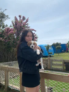 EvaCake i love animals Pic 2