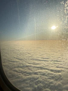 FroggyAnna: on my way✈️ ( 6 фото)