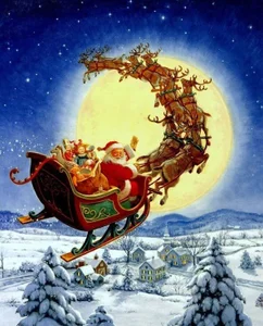 LyalyaBit79 Merry Christmas Foto 7