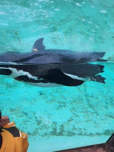 Max2025P kullanıcısının Public albümü -  fotoğraf